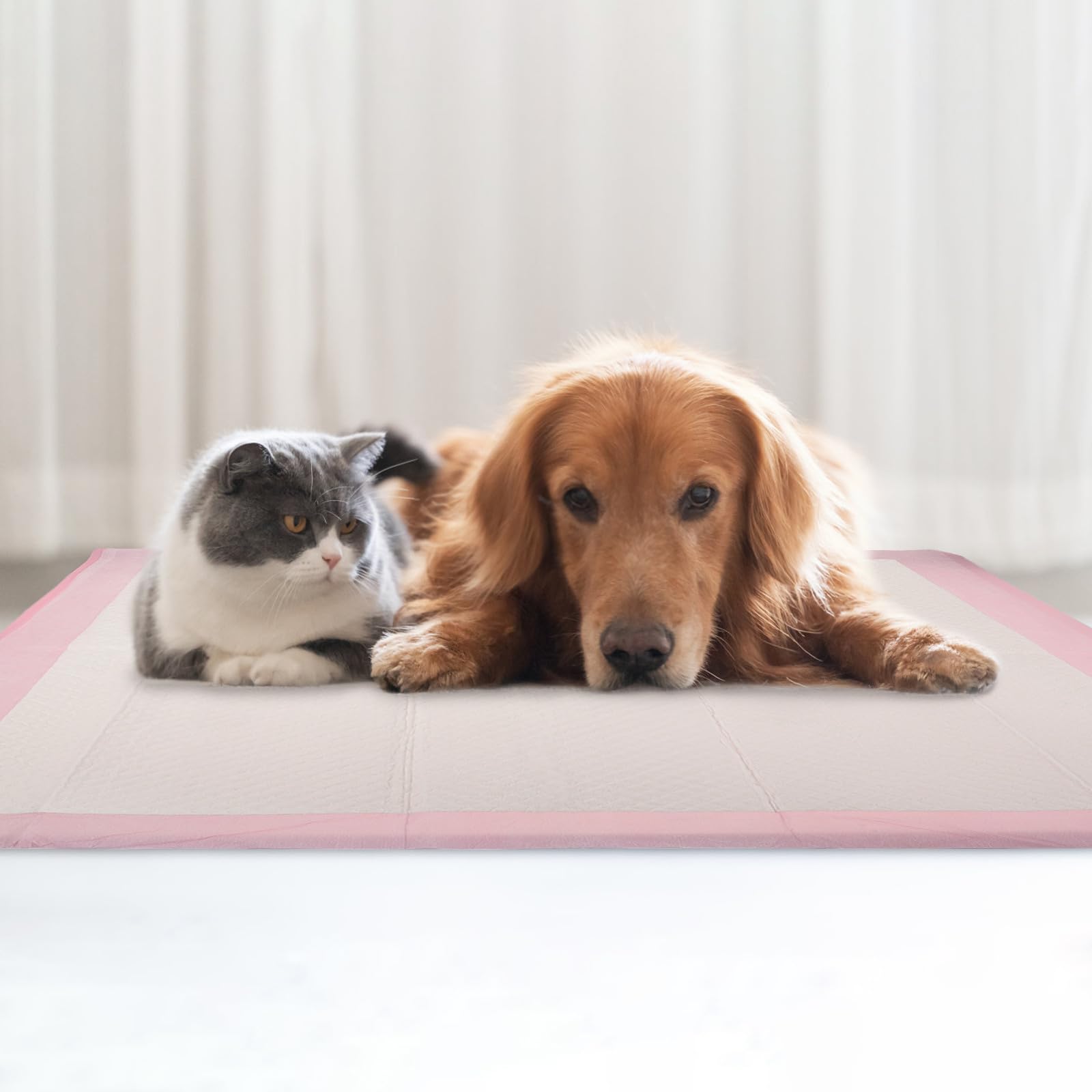Alèses D’apprentissage pour Chiots Super Absorbantes et Imperméables