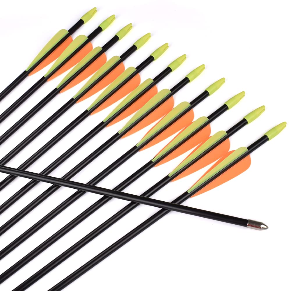 NIKA ARCHERY 28 30 31 Zoll Pfeil Fiberglas-Bogenschießen-Zielpfeile – Übungspfeil oder Jugendpfeil für Recurvebogen-Compoundbogenschießen (6/12 Stück)