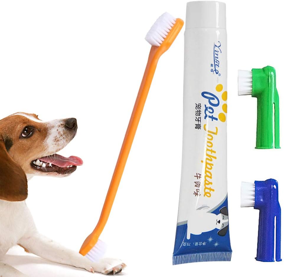 dog toothbrush and toothpaste amazon