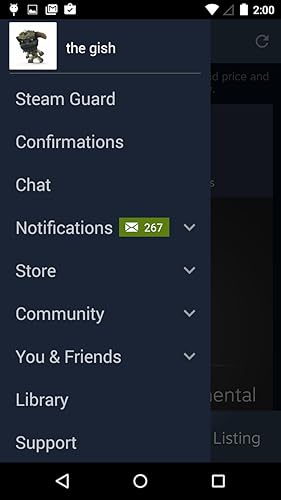 Steam