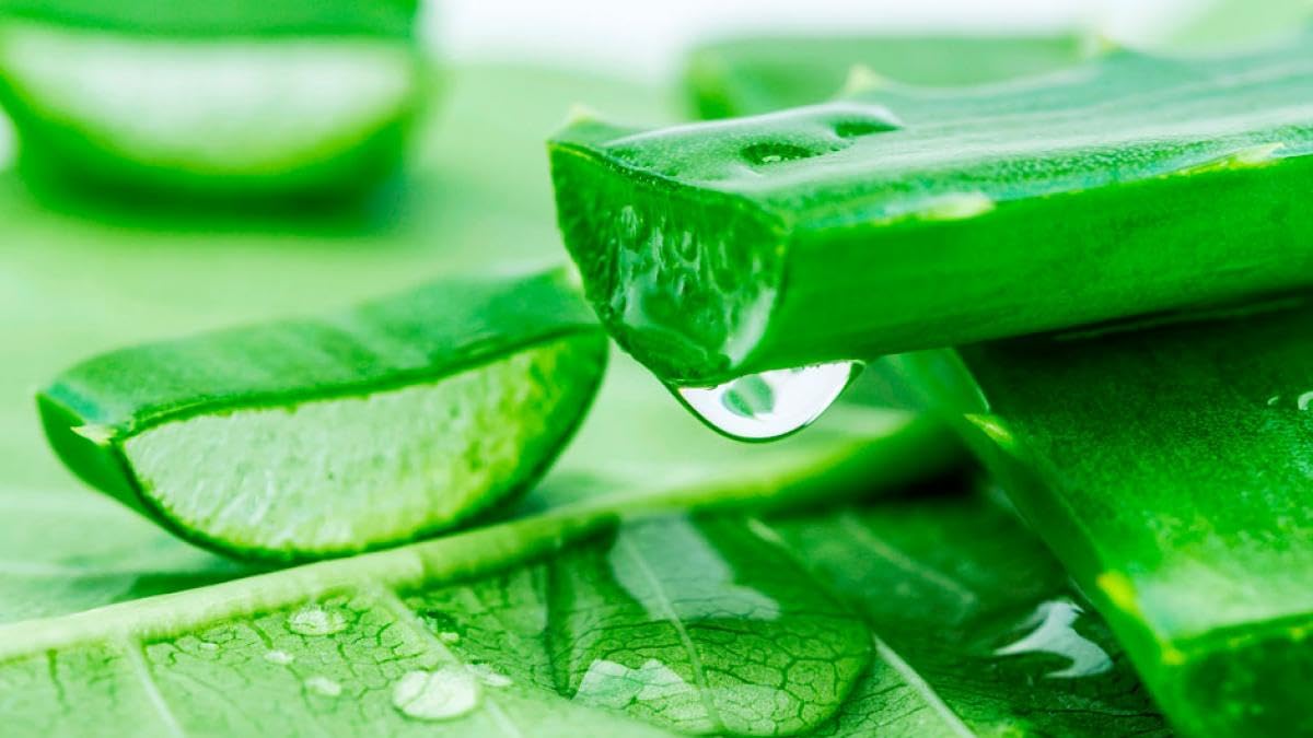 Jabón de Manos Líquido - Aloe Vera/Urea/Glicerina - 3 x 5 L