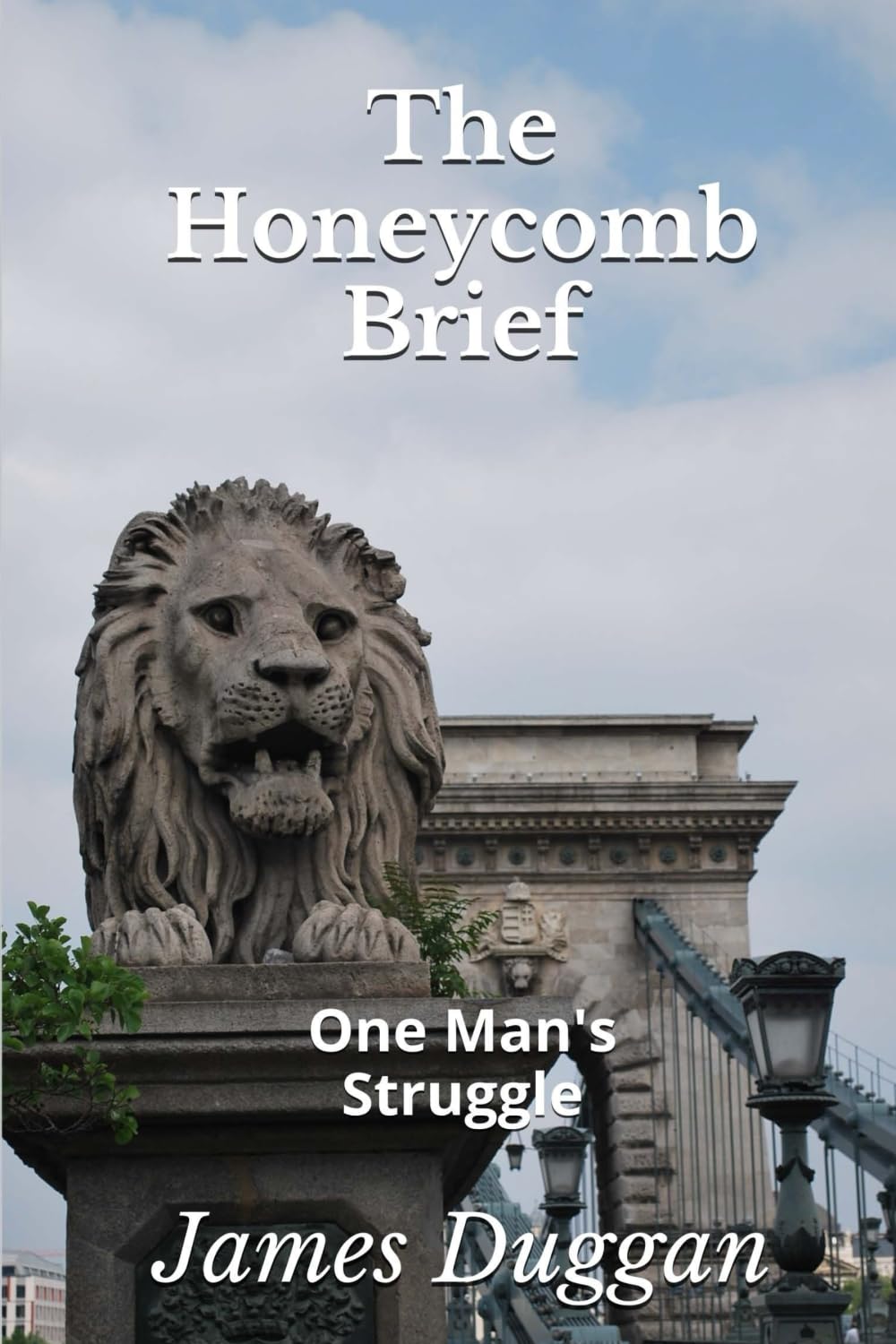 The Honeycomb Brief: One Man's Struggle
