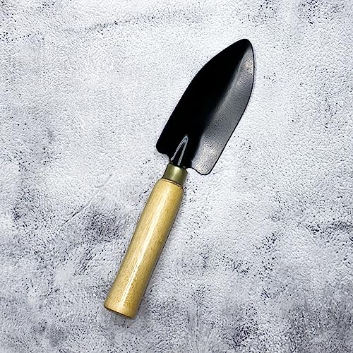 Gtree Garden Hand Transplanter Wooden Handle (Small) | Stainless Steel Blade | Terrace, Balcony Gardening Accessories | Tools Kit for Home Gardening | Tool Kit Set | 1 pc Gtree Garden Hand Transplanter Wooden Handle (Small) | Stainless Steel Blade | Terrace, Balcony Gardening Accessories | Tools Kit for Home Gardening | Tool Kit Set | 1 pc