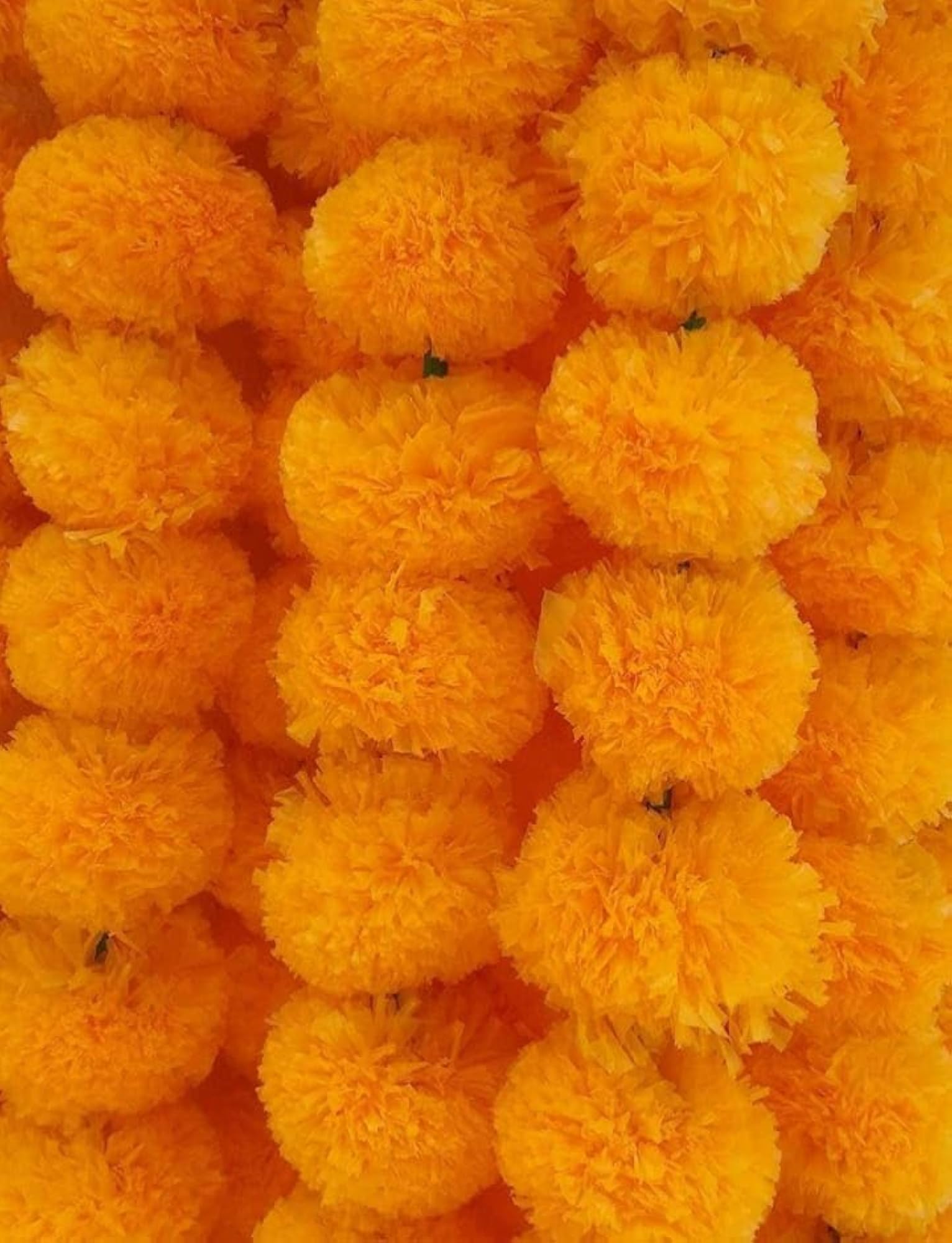 Marigold Toran Festive Wall Decor Room Decor Yellow