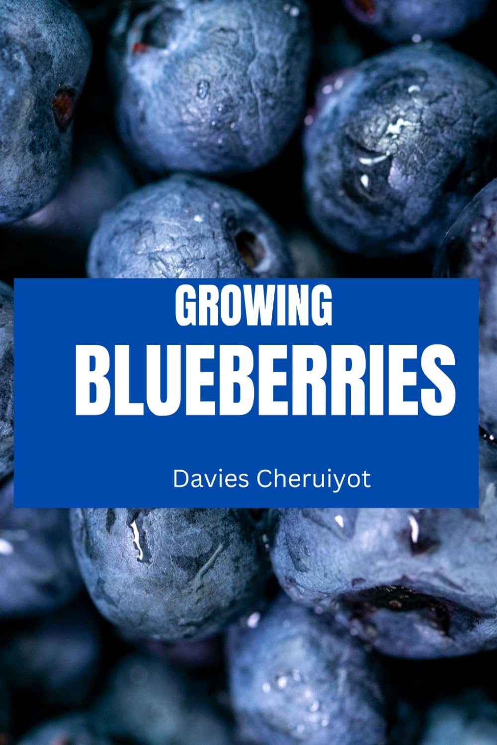 GROWING BLUEBERRIES (Fruits farming)