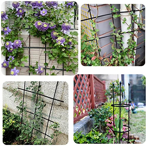 Garden Trellis For Climbing Plants Outdoor,2 Pack Plant Support,Tomato Cages For Garden,Plant Trellis Frame For Potted Plants, Vegetable Plant Support For Flowers Vegetable Vine Indoor Outdoor #TOP6
