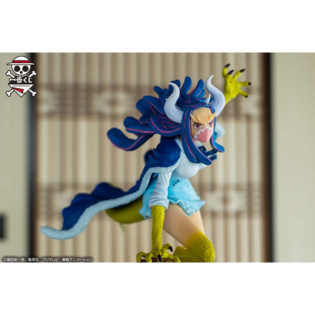 Amazon.co.jp: 一番くじ ワンピース EX ONE PIECE GIRL'S