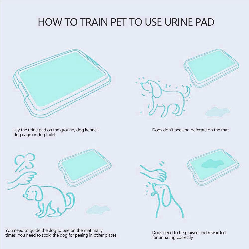 Empapadores Perros Cachorros, Toallitas de Entrenamiento para Mascotas, Súper Absorbentes Almohadillas de Entrenamiento para Atraer los Cachorros,Alfombrilla higiénica