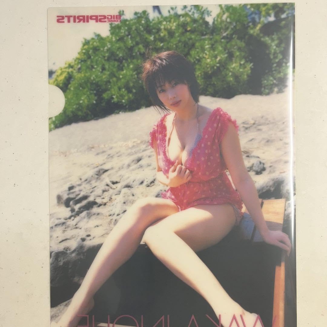 Amazon.co.jp: 井上和香 クリアファイル3枚セット ビッグコミック