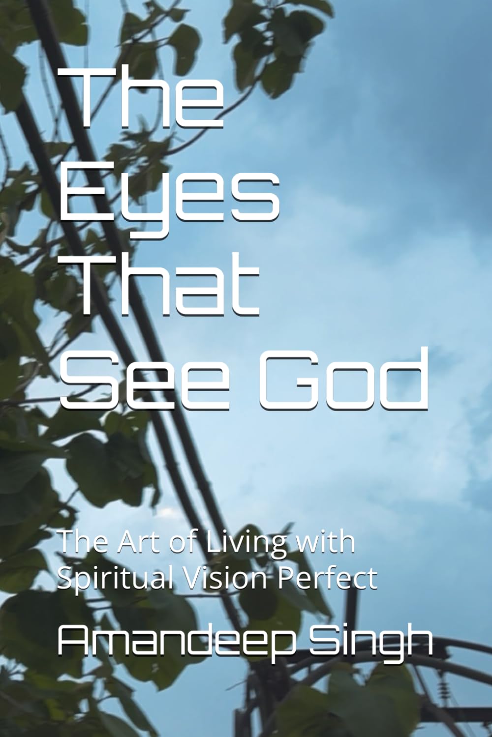 The Eyes That See God: The Art of Living with Spiritual Vision Perfect