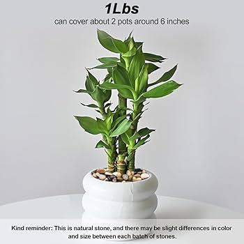 置石、飾り石 楽天市場】合わせ石 ガラスストーン ばら売り DE-647PP ガラス石