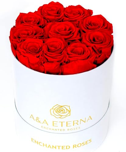 Miniatura 1 de 10 rosas rojas en una caja blanca cilíndrica, rosa preservada, 100% real para ella, rosas rojas elegantemente organizadas en una caja elegante