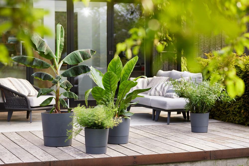 Elho Greensense Aqua Care Round 30cm Maceta - Charcoal Grey | ∅ 29.5 x 29.1 cm | Platillo integrado | Macetero por Interior y Exterior | Plástico 100% reciclado