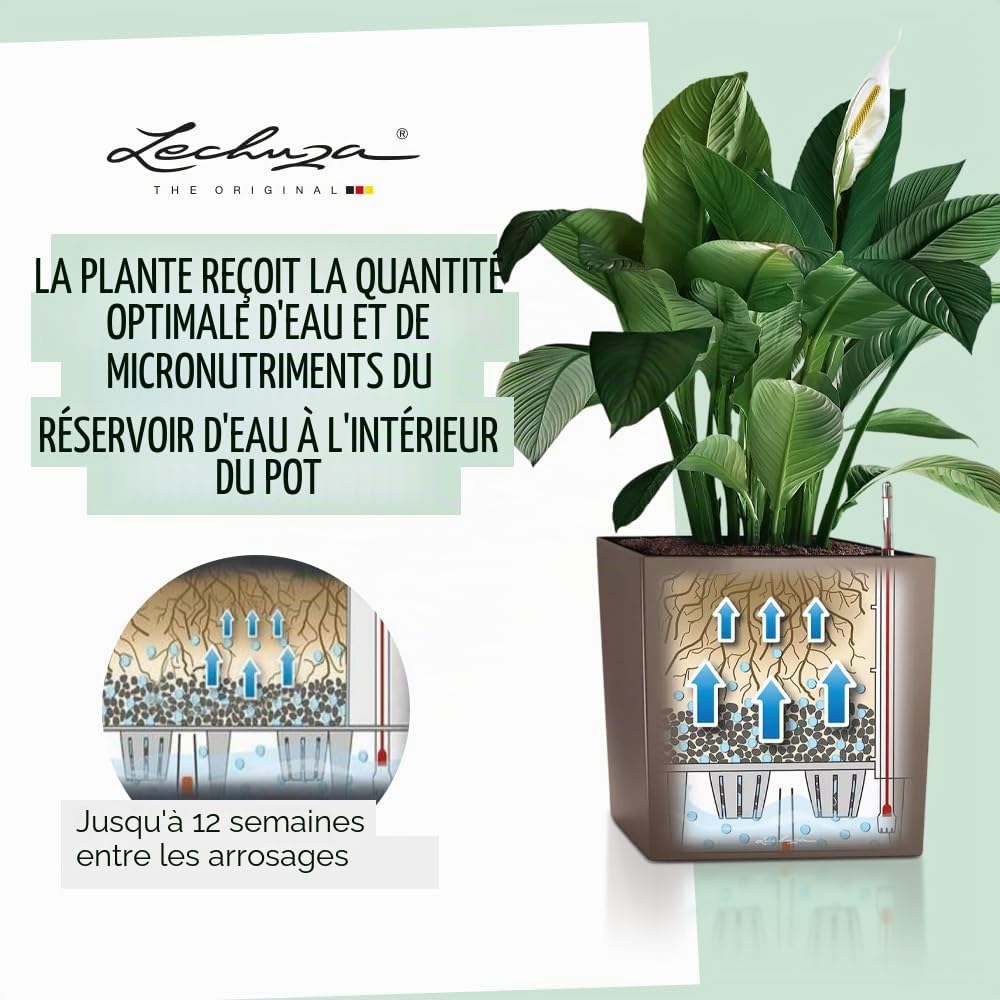 Lechuza – Pot de Fleurs d'Interieur – Premium Cube – Réserve d'Eau Intégrée – Coloris Blanc – 30 x 30 x 30 cm