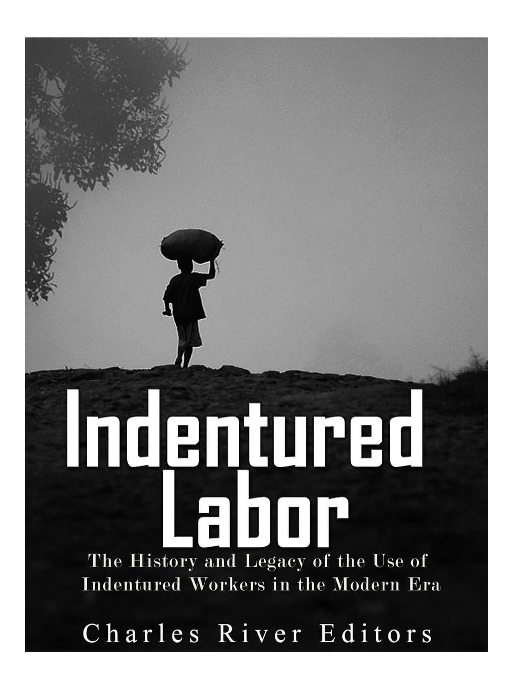 Indentured Labor: The History and Legacy of the Use of Indentured Workers in the Modern Era