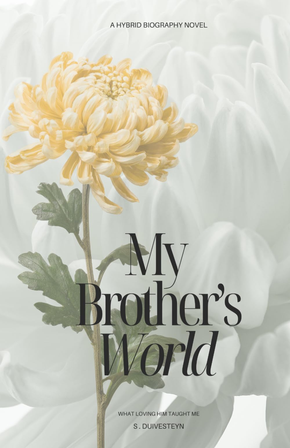 My Brother's World: What Loving Him Taught Me