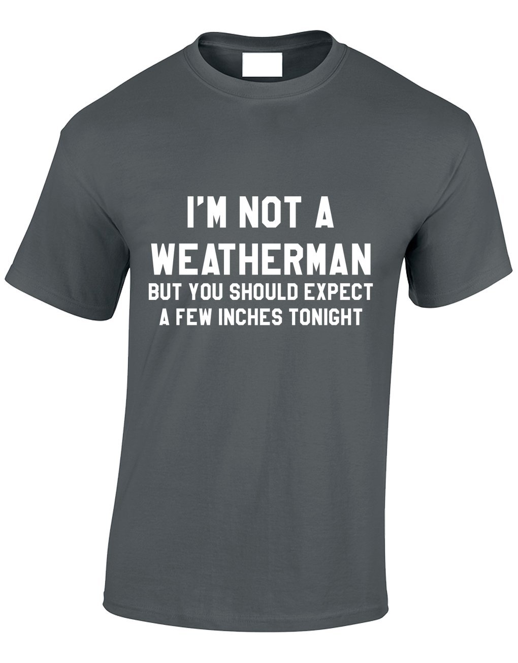 Crown Designs Men's Charcoal Im Not A Weatherman Funny Rude Humor Gifts For T-Shirts Tops - /Medium