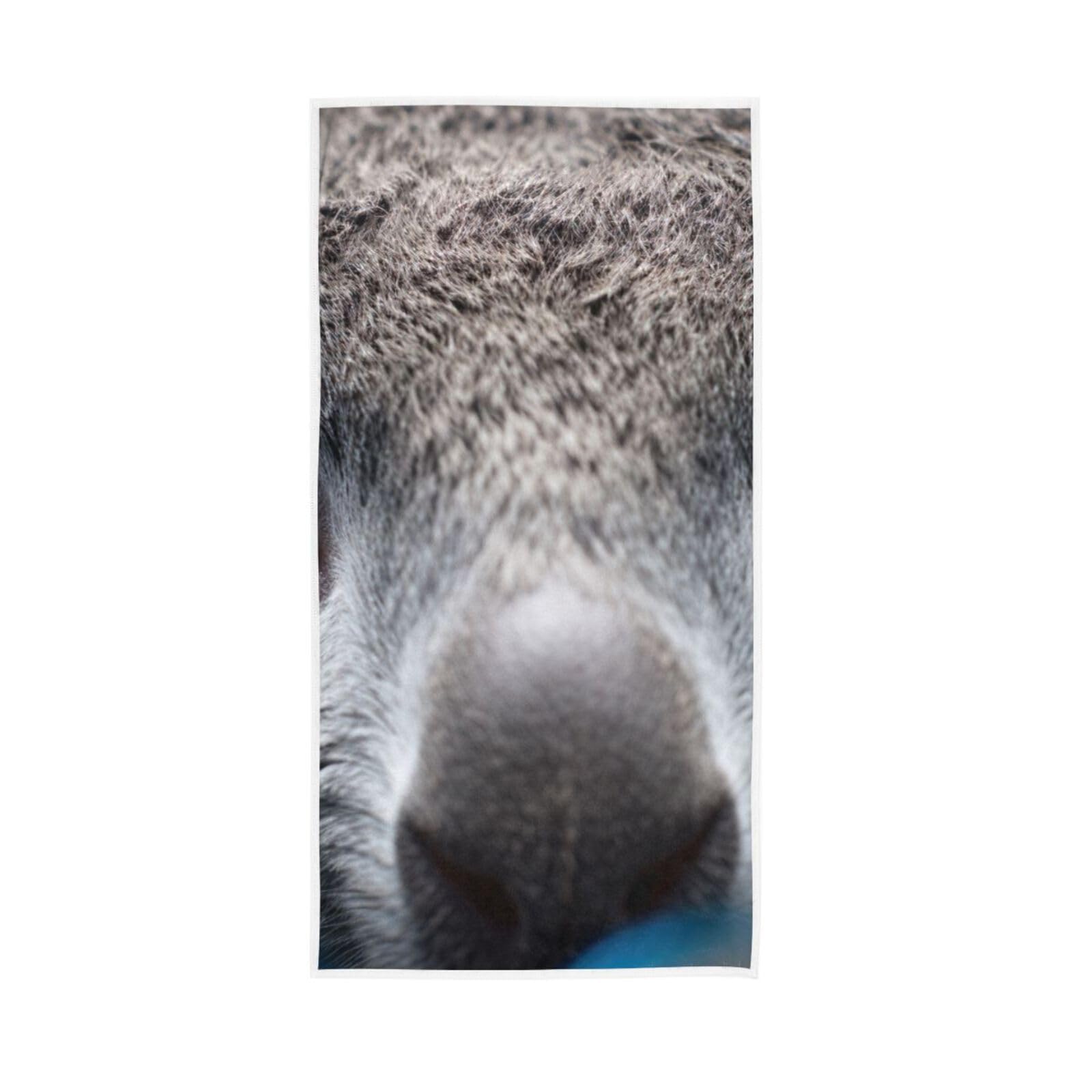 HUYGD Koala Eyes Fingertip Towels, 15 x 30 Inches Absorbent Hand Towel Spa Towel Salon Towel