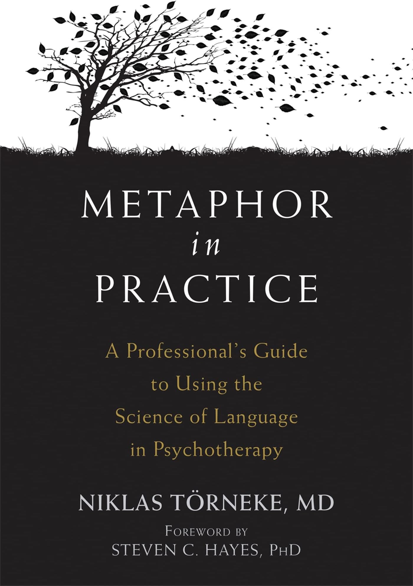 Metaphor in Practice: A Professional's Guide to Using the Science of Language in Psychotherapy