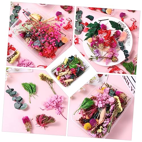 Kit de flores secas estilo aleatorio para manualidades miniatura 6