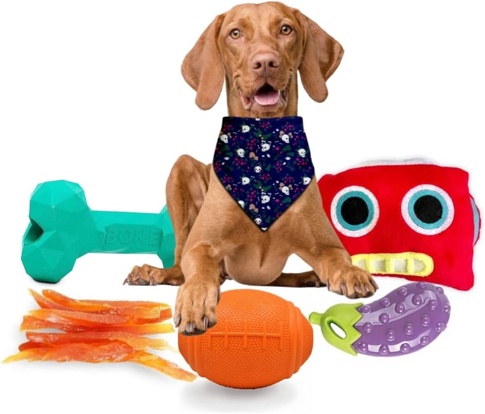 W Brings WoofBox - The Best Gift for Your Adult Dog. Loaded with Premium Dog Treats, Toys, Accessories and More Specially curated for Your Adult Dogs. (Focus on Chew, Large Size Dogs)