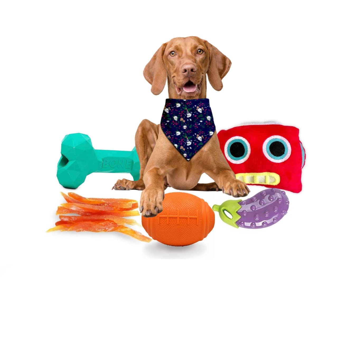 W Brings WoofBox - The Best Gift for Your Adult Dog. Loaded with Premium Dog Treats, Toys, Accessories and More Specially curated for Your Adult Dogs. (Focus on Chew, Large Size Dogs)