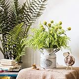 Felice Arts 4 Pack Artificial Boston Fern, Bush Faux Grass Fake Plastic Shrubs Plant Arrangements Greenery Bushes for Indoor Outside Home Garden Office Wedding Decor