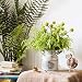 Felice Arts 4 Bundles Artificial Boston Ferns Bush Plants Faux Grass Fake Plastic Shrubs Leaves Fake Shrubs Plant Arrangements Simulation Greenery Bushes Indoor Outside Home Garden Office Verandah