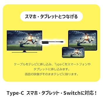 AURORA　ワイヤードスイッチ　スクリーン用スイッチ　映画　映像 AURORA ワイヤードスイッチ スクリーン用スイッチ 映画 映像