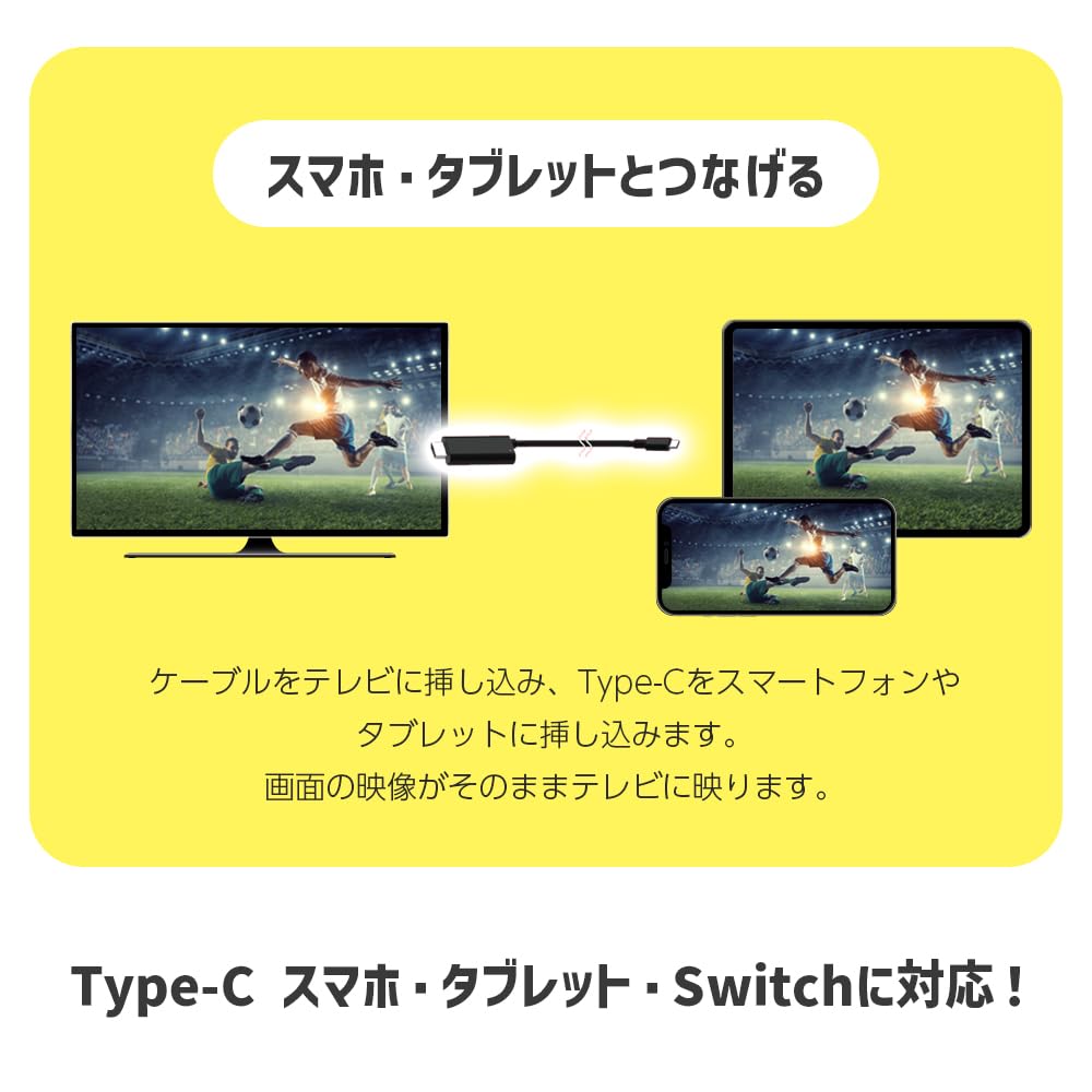 AURORA　ワイヤードスイッチ　スクリーン用スイッチ　映画　映像 NTSC（4：3） リアルホワイト スタンダードスクリーン AURORA