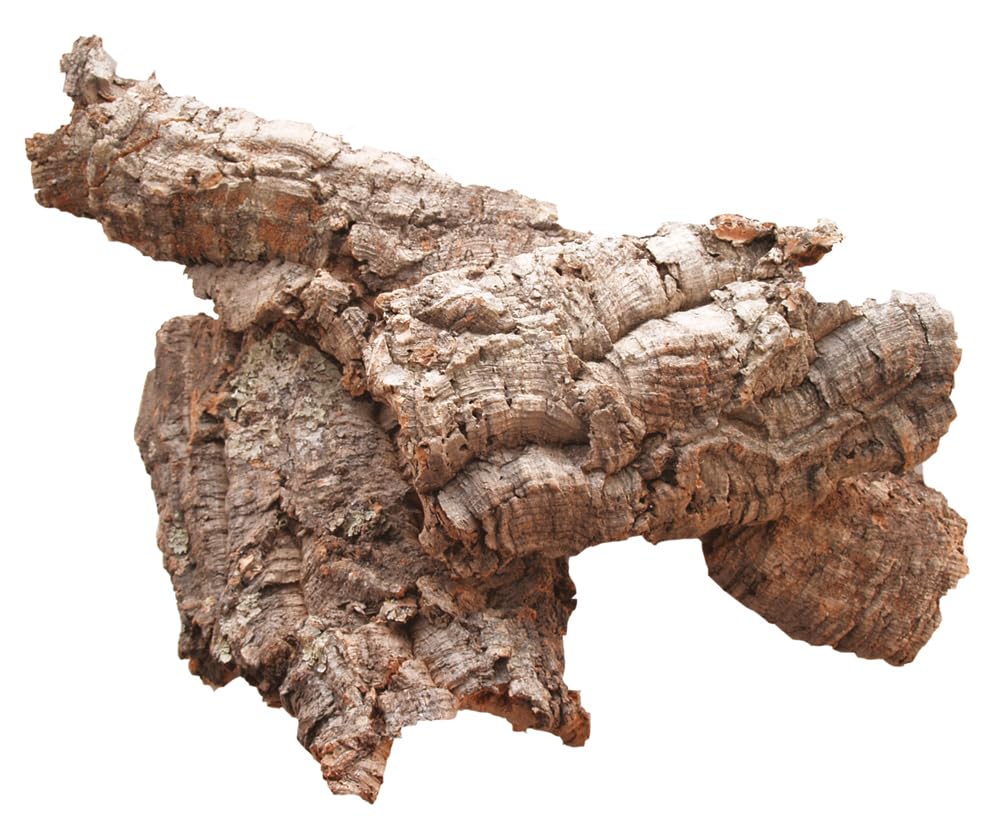 FADEDA Corteza decorativa de corcho de fuerza media, por kg, altura: 55 cm, pintado a mano, figuras de belén detalladas, decoración de mesa de Navidad, accesorios para belén