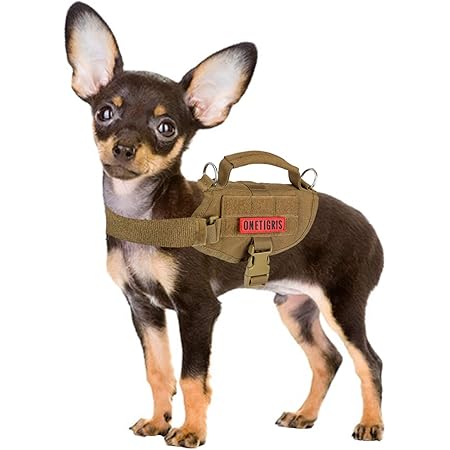 Chihuahua tactical vest Outlet