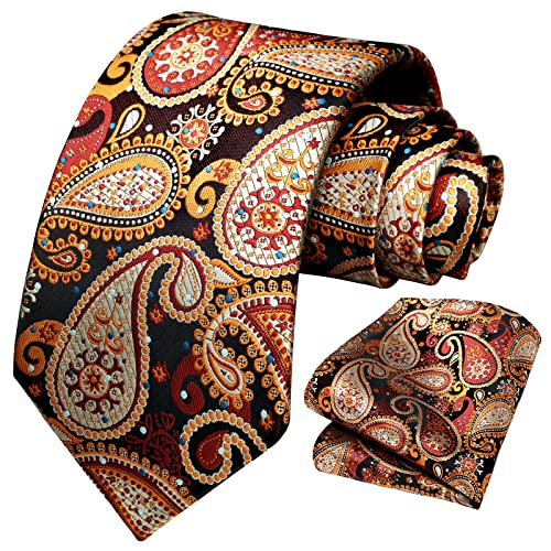 Image of HISDERN Ties for Men Paisley Tie and Pocket Square Woven Classic Floral Mens Ties Handkerchief Set Wedding Party Necktie