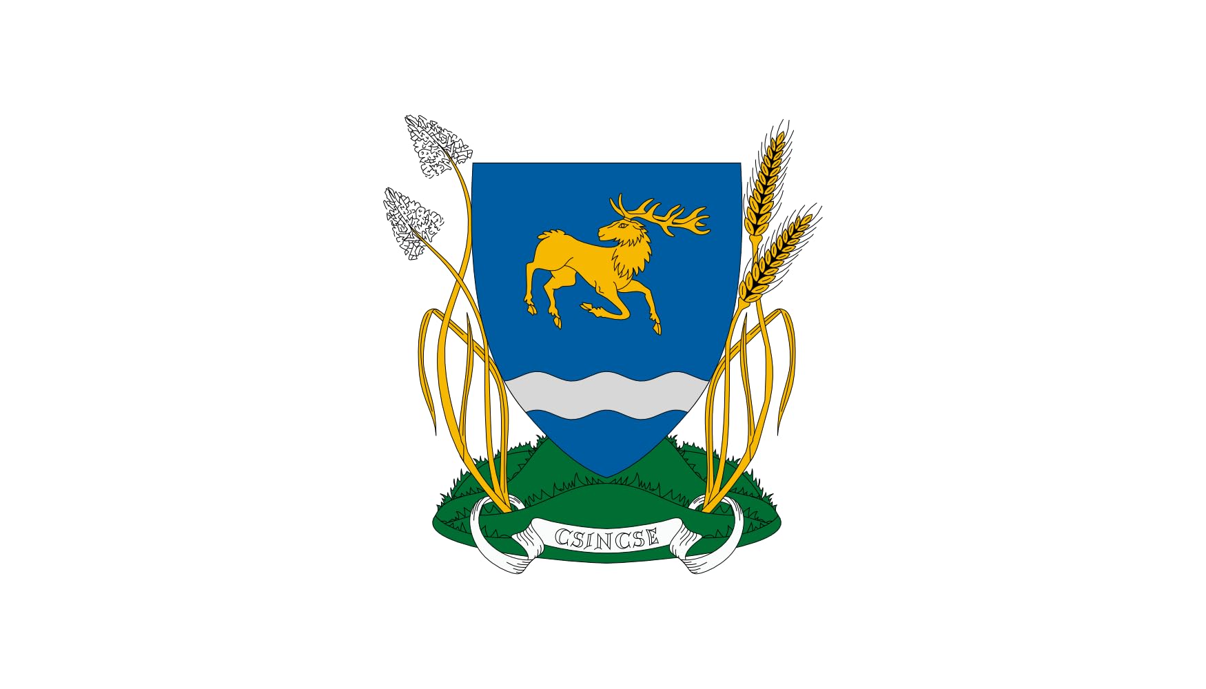 Drapeau large Csincse pavillon Csincse község grand format