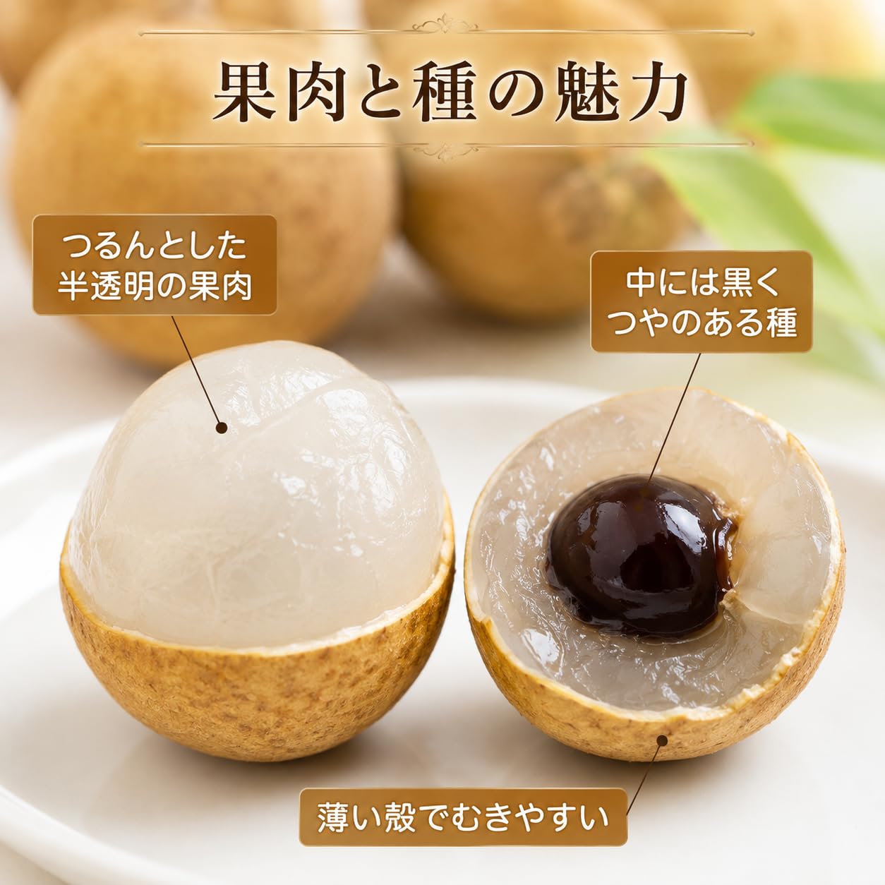 Amazon.co.jp: 生龍眼 約5kg 約500粒前後入り ベトナム産｜リュウガン