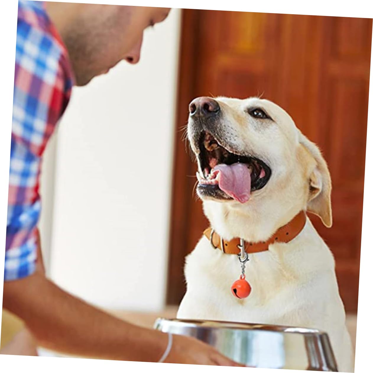 BESPORTBLE 16pcs Decorative Pet Collar Bells Crafted Dog Cat Hanging Accessories Mixed Style DIY Hanging Cat Bells for Weddings Festivals Birthdays Durable Design