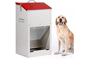 Galvanized Automatic Dog Feeder for Large Breed Dogs