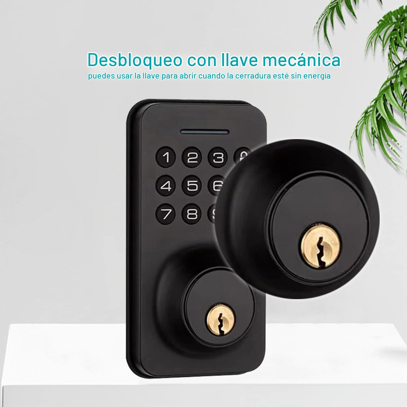 Cerradura de puerta de entrada sin llave con teclado, cerradura de cerrojo inteligente con 2 llaves, contraseña/llave mecánica/aplicación Tuya/desbloqueo manual