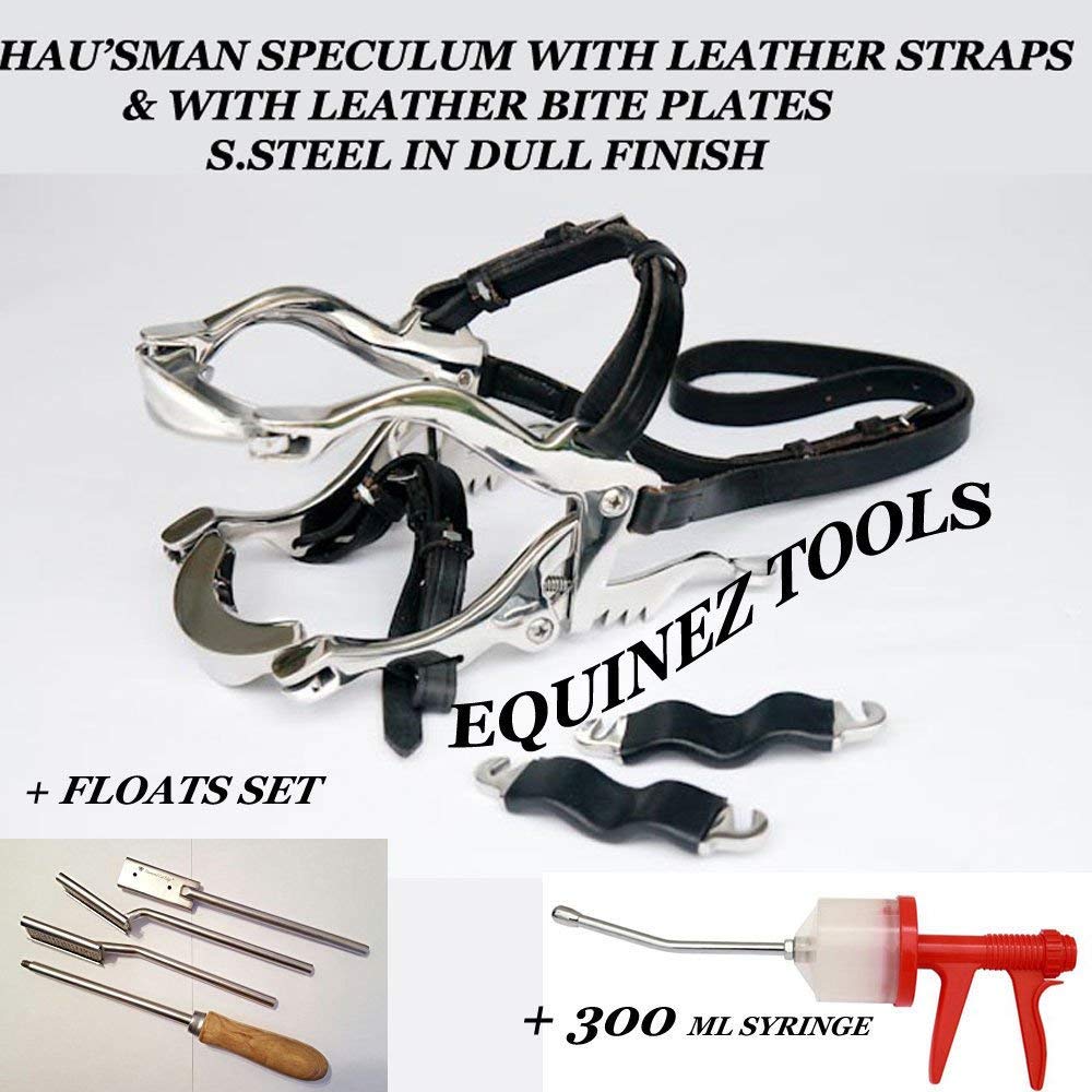 Buy Equine Dental Kit Set Speculum Horse Mouth Gag Float Set 300 ml