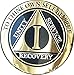 1 Year Elegant Black Gold Silver Bi-Plated AA Medallion Serenity Prayer Chip