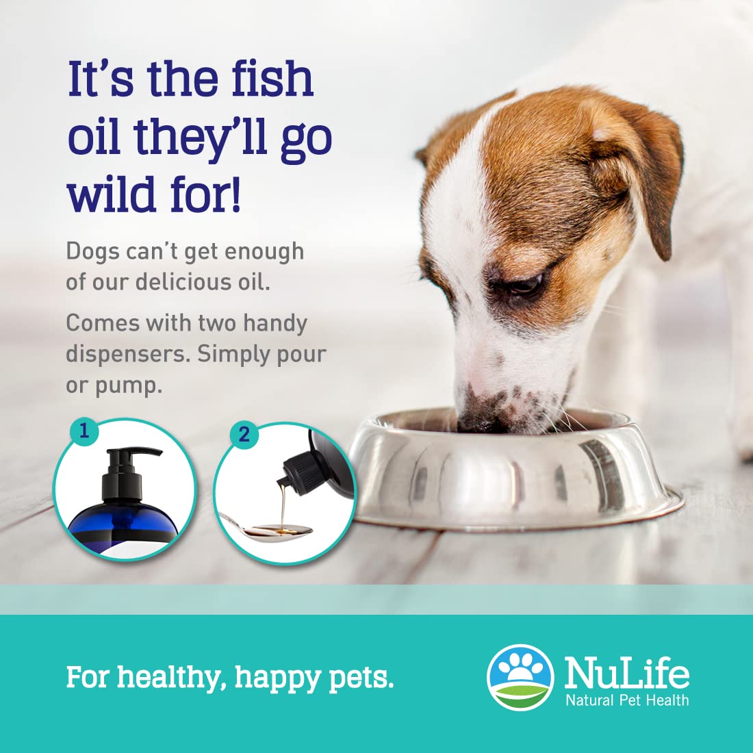 Can You Feed Your Dog Fish Oil