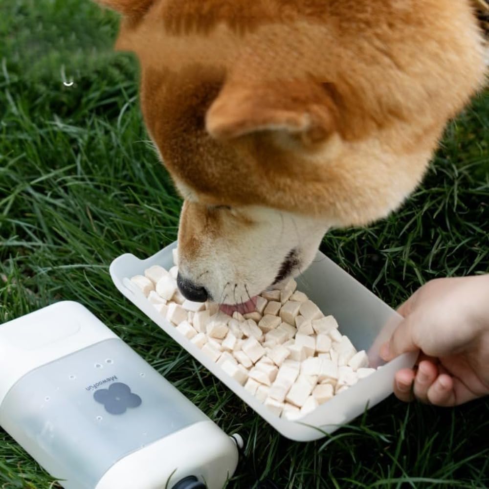 未開封 犬用 水飲み器 給水ペットボトル 給水器 水筒 食皿 おしっこシャワー Amazon | Buccvut 犬用 水飲み器 給水ペットボトル 散歩グッズ