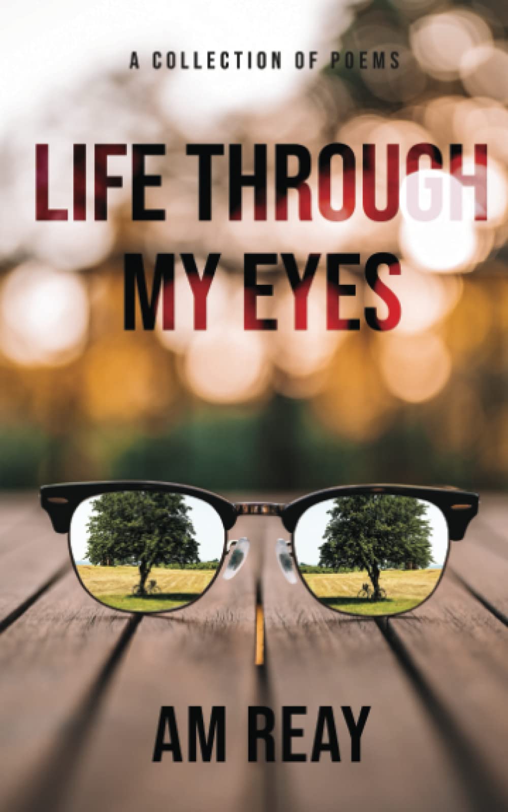 Life through my eyes