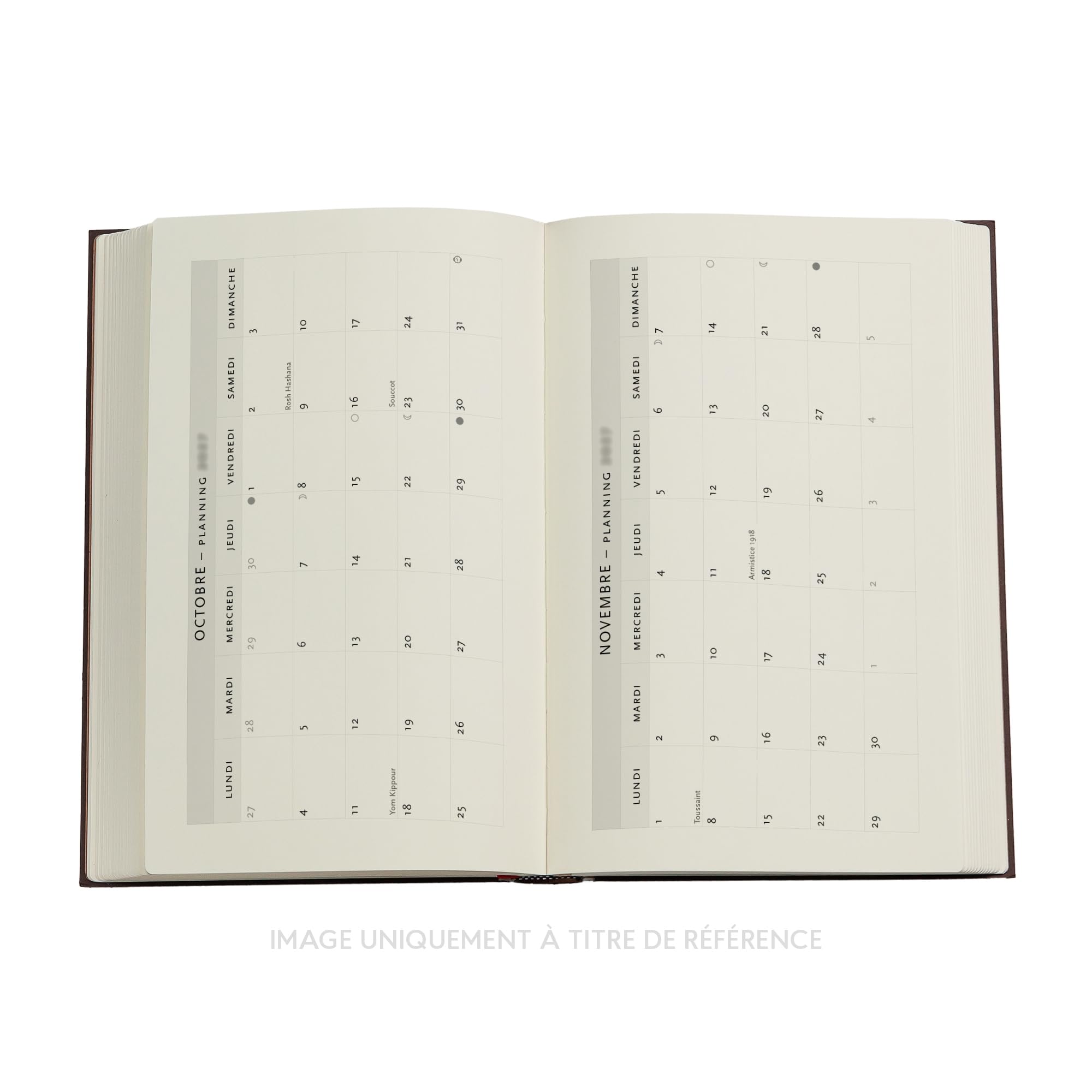 Agenda Scolaire 2026/2027 Picaresque Maxi Souple Journalier Paperblanks