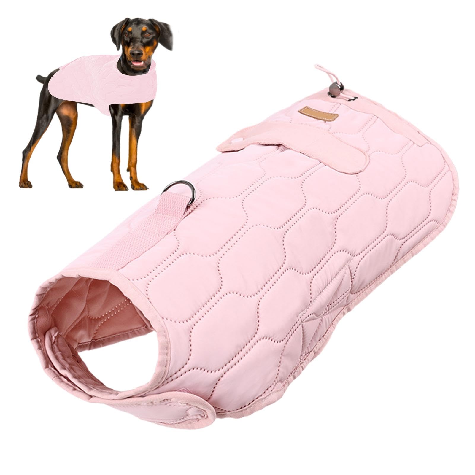 Manteau coupe-vent pour chiens pour protéger votre animal du grand froid