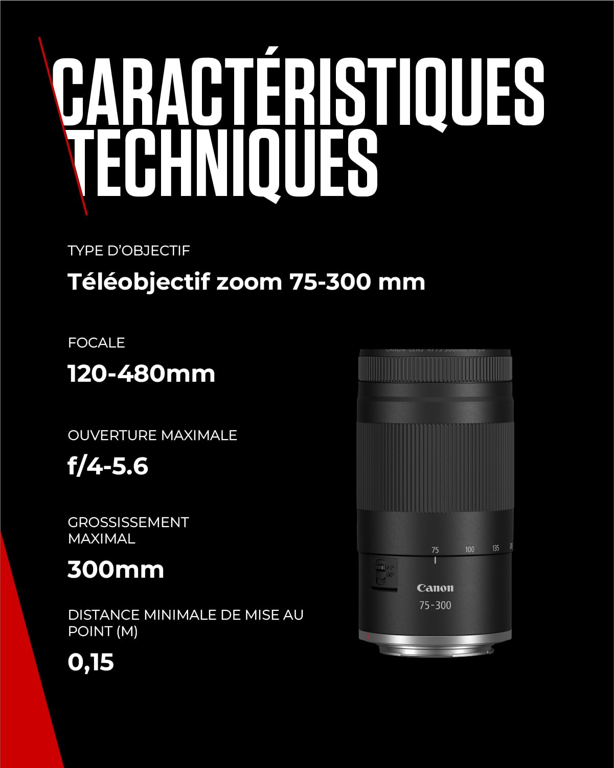 Objectif Canon RF 75-300mm F4-5.6 Téléobjectif Zoom pour Photographie Animalière Sportive Moteur AF Traitement Super Spectra Compatible EOS R