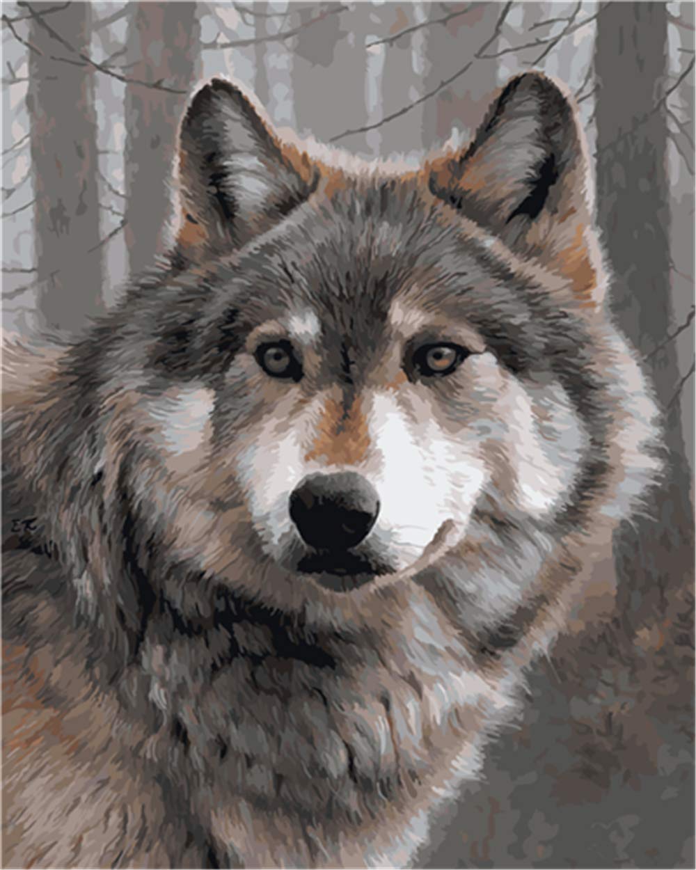 Malen Nach Zahlen Wolf – Leinwand-Set Mit Rahmen, 40x50 Cm – Perfekt Für Entspannung & Kreative Stunden