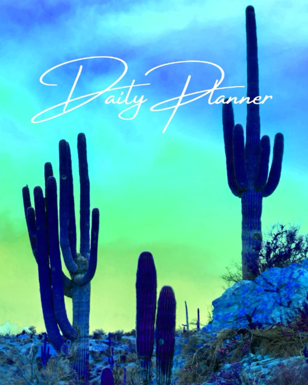 Daily Planner: Colorful Cactus Daily Planner For Women's Undated Appointments Notepad Activities Lunches, Workouts 365 Pages