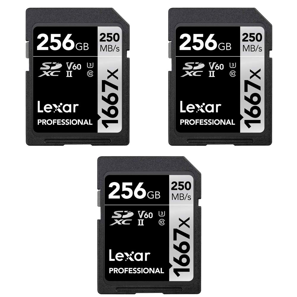 Amazon.com: Lexar LSD256CBNA1667 Professional SDHC/SDXC 1667x UHS
