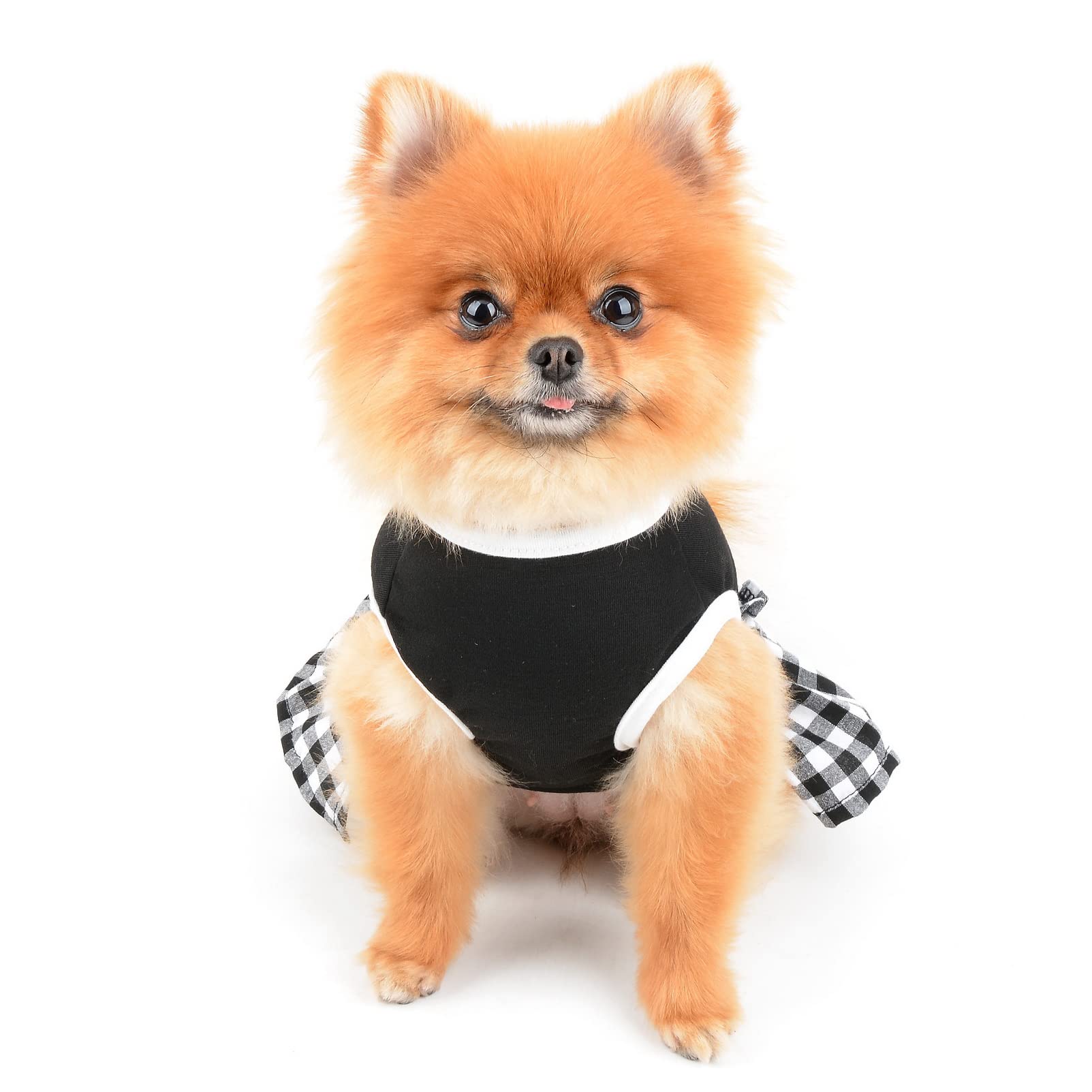 View 3